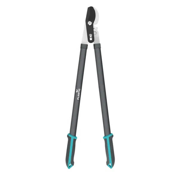 ТОП-10 инструментов для обрезки в саду ранней весной