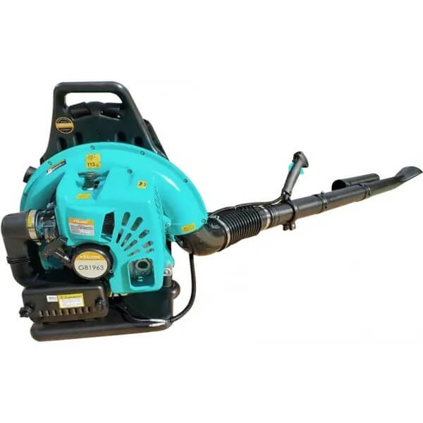 Как выбрать хорошую воздуходувку жителям юга: пара советов